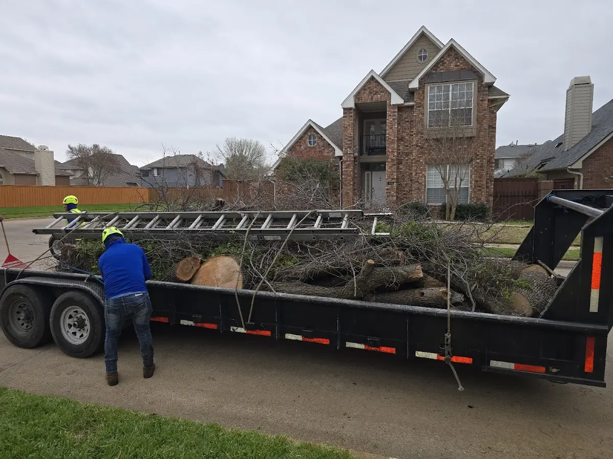 Expert Lot Clearing with proper safety equipment in Cathedral City